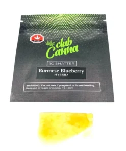 Club Canna – Burmese Blueberry Shatter